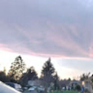 Meet your Posher, Cherry